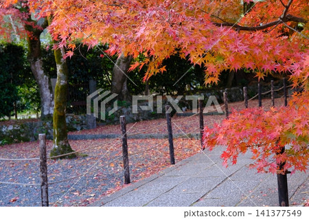 秋天的阿房光明寺藥院門參道 秋天的阿房光明寺藥院門參道 141377549