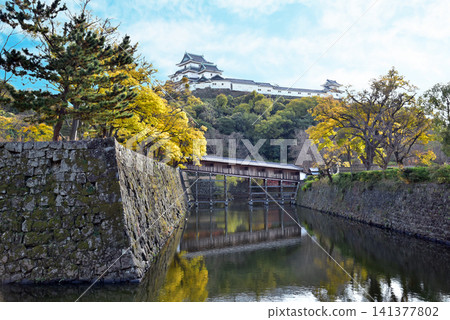 和歌山城堡在秋天 141377802