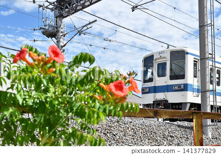 鐵路(私鐵):東武都市公園線、8000系列 鐵路(私鐵):東武都市公園線、8000系列 141377829