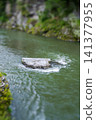 Nagatoro Gorge Miniaturized 141377955