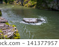 Nagatoro Gorge Miniaturized 141377957