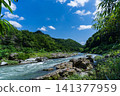 Nagatoro Valley in the summer 141377959