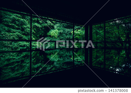 琉璃光院中倒映著綠色楓葉的幻象 琉璃光院中倒映著綠色楓葉的幻象 141378008