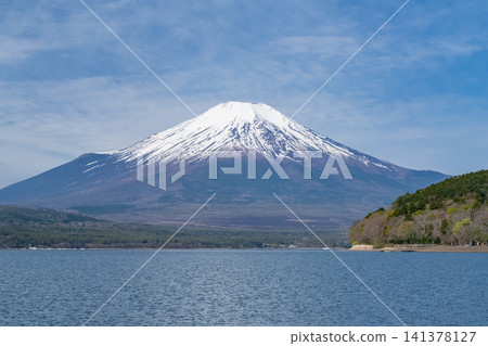 從山中湖畔的平野海灘眺望富士山的春日景色。 141378127