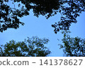 背景素材由湛藍的天空和綠色的樹木組成。 141378627
