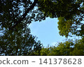 背景素材由湛藍的天空和綠色的樹木組成。 141378628