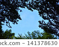 背景素材由湛藍的天空和綠色的樹木組成。 141378630