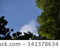 背景素材由湛藍的天空和綠色的樹木組成。 141378634