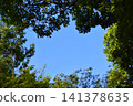 背景素材由湛藍的天空和綠色的樹木組成。 141378635