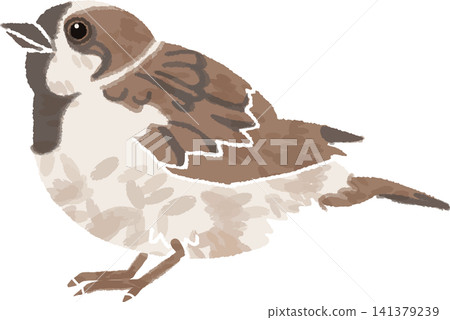 手繪風格的麻雀插圖(野生鳥類/小型鳥類)(麻雀,麻雀,動物,彩色) 手繪風格的麻雀插圖(野生鳥類/小型鳥類)(麻雀,麻雀,動物,彩色) 141379239