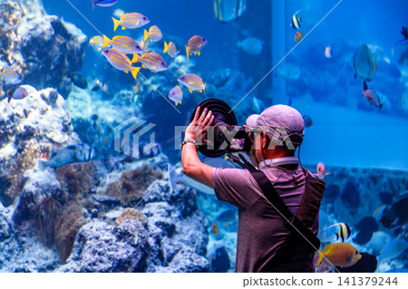 攝影師使用專業消光罩在水族館大水槽前拍攝熱帶魚群側拍 攝影師使用專業消光罩在水族館大水槽前拍攝熱帶魚群側拍 141379244