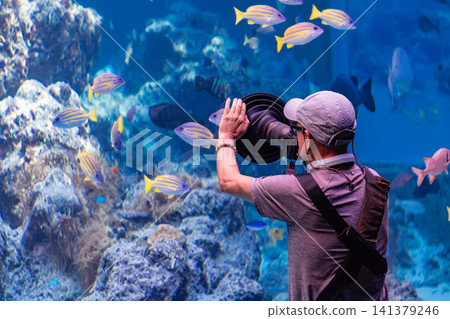 攝影師使用專業消光罩在水族館大水槽前拍攝熱帶魚群側拍 攝影師使用專業消光罩在水族館大水槽前拍攝熱帶魚群側拍 141379246
