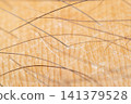 Extreme macro view of human skin fine hair showing natural skin texture pores epidermis detail for dermatology healthcare scientific study 141379528