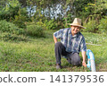 Smiling farmer inspecting irrigation pipeline green farmland supporting efficient water management sustainable agriculture healthy crop production 141379536