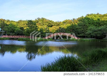 神奈川縣橫濱市金澤區金澤文庫旁的聖明寺的夏日景色 神奈川縣橫濱市金澤區金澤文庫旁的聖明寺的夏日景色 141379653