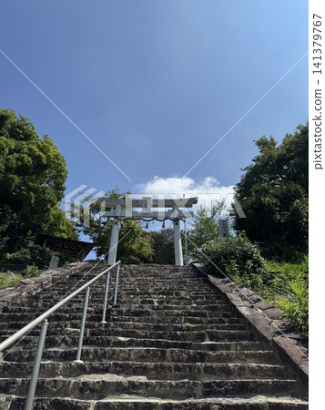 Torii torii Torii torii 141379767
