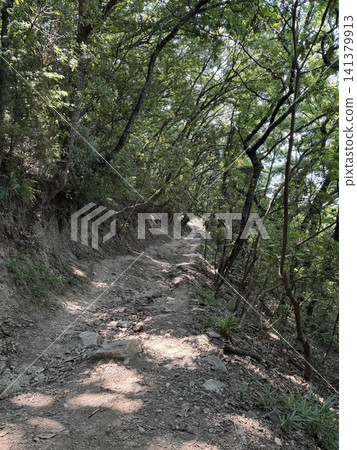 前往高屋神社的路 141379913