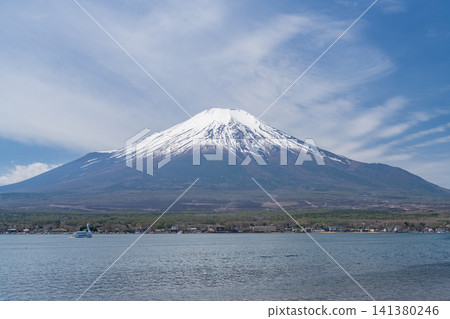 從山中湖岸邊眺望富士山的春天景色。 141380246