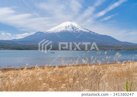 從山中湖岸邊眺望富士山的春天景色。 從山中湖岸邊眺望富士山的春天景色。 141380247