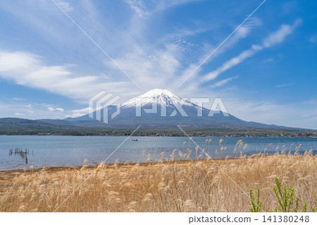 從山中湖岸邊眺望富士山的春天景色。 141380248