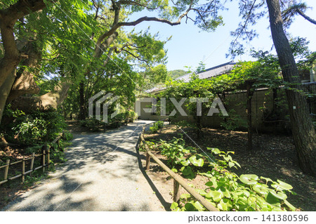 葉山潮騷公園的夏天 葉山潮騷公園的夏天 141380596
