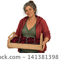 Mature woman holding crate of fresh cherries 141381398