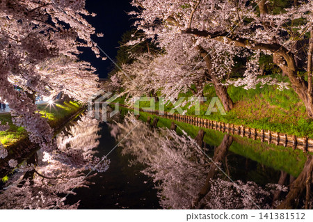 Hirosaki Park, Shimoshirogane-cho, Hirosaki City, Aomori Prefecture: Illuminated rows of Somei-Yoshino cherry trees surrounding the outer moat of Hirosaki Castle and a reflection on the water surface Hirosaki Park, Shimoshirogane-cho, Hirosaki City, Aomori Prefecture: Illuminated rows of Somei-Yoshino cherry trees surrounding the outer moat of Hirosaki Castle and a reflection on the water surface 141381512