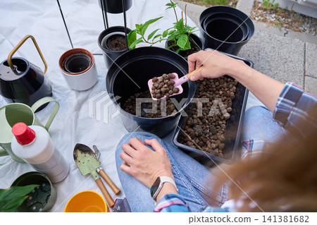 Gardener adding clay pebbles to flower pot Gardener adding clay pebbles to flower pot 141381682