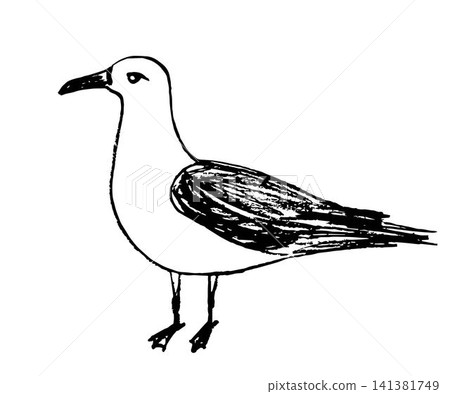 Hand-drawn simple vector drawing of charcoal pencil. Side view seagull bird in a standing pose isolated on a white background. Nature, coast, ornithology. Hand-drawn simple vector drawing of charcoal pencil. Side view seagull bird in a standing pose isolated on a white background. Nature, coast, ornithology. 141381749