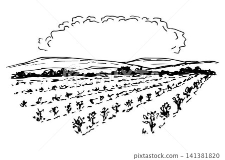 Hand-drawn ink vector drawing. Silhouette of mountains on the horizon, farm fields, cloud. Cultivation of agricultural plants. For labels, packaging, place for title on top. Black and white sketch. Hand-drawn ink vector drawing. Silhouette of mountains on the horizon, farm fields, cloud. Cultivation of agricultural plants. For labels, packaging, place for title on top. Black and white sketch. 141381820