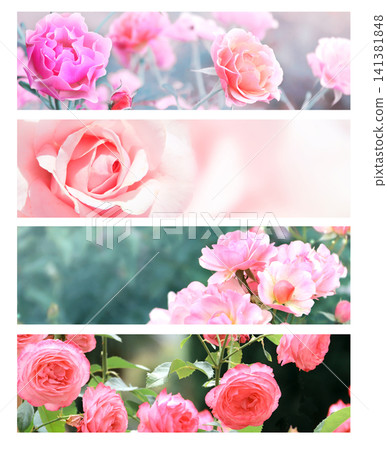 Set of nature banner with rose flowers on summer background. Collection of sunny rose garden headers, color-toned to deliver a warm, retro photography vibe. Blooming roses against a sunlit backdrop Set of nature banner with rose flowers on summer background. Collection of sunny rose garden headers, color-toned to deliver a warm, retro photography vibe. Blooming roses against a sunlit backdrop 141381848