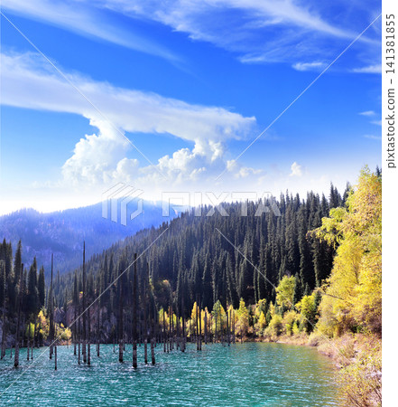Picturesque autumn scenery of Kaindy lake with dead trees, Kolsay Lakes National Park, northern region of Tien Shan Mountains, Kazakhstan. Alpine Kaindy lake, Almaty region, Kazakhstan Picturesque autumn scenery of Kaindy lake with dead trees, Kolsay Lakes National Park, northern region of Tien Shan Mountains, Kazakhstan. Alpine Kaindy lake, Almaty region, Kazakhstan 141381855