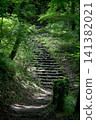 A stone-paved staircase in nature, exuding a mystical atmosphere. 141382021