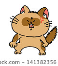 A cat with an angry raccoon-like face 141382356