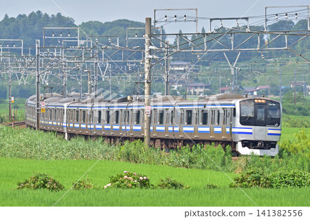 總武本線櫻Monoi JR東E217系列Y-121編隊(鎌倉) 總武本線櫻Monoi JR東E217系列Y-121編隊(鎌倉) 141382556