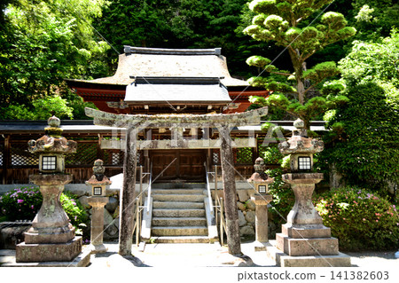 Eboshigata Hachiman Shrine（鳥居門/正殿）[大阪府川內長野市] 141382603