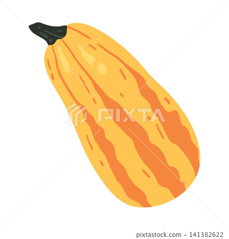 Striped yellow zucchini Striped yellow zucchini 141382622