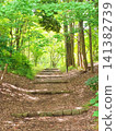 A beautiful park with walking paths and stone steps where sunlight filters through the fresh green leaves. 141382739