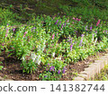 The well-maintained flowerbeds in the park are lined with lovely white and purple flowers. 141382744
