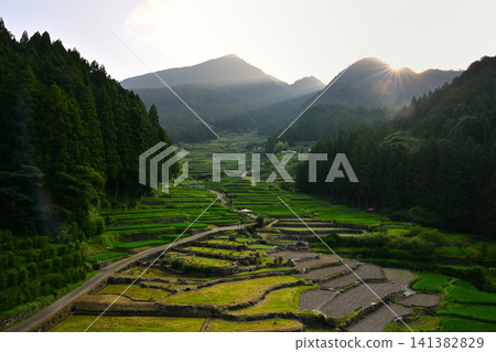 早晨太陽照亮的米大陽台 早晨太陽照亮的米大陽台 141382829