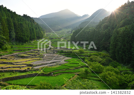 早晨太陽照亮的米大陽台 早晨太陽照亮的米大陽台 141382832