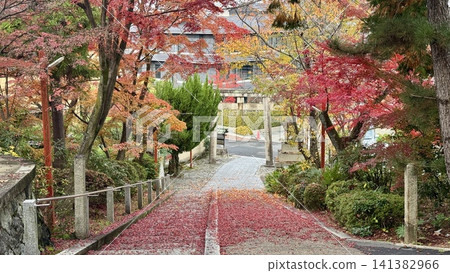 Long outdoor staircase surrounded by colorful fall trees Long outdoor staircase surrounded by colorful fall trees 141382966