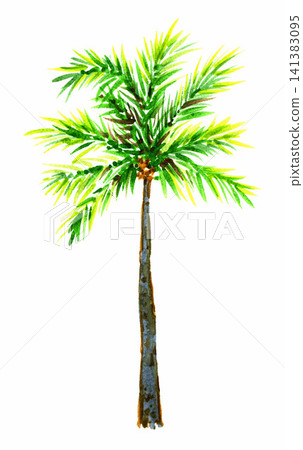 Hand-drawn watercolor single palm, lush green branches, thin straight trunk. Tropical tree, element of nature, beach vacation Hand-drawn watercolor single palm, lush green branches, thin straight trunk. Tropical tree, element of nature, beach vacation 141383095
