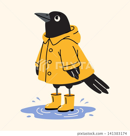 Adorable Black Bird Standing in Puddle Adorable Black Bird Standing in Puddle 141383174