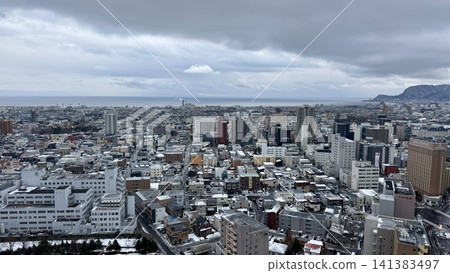 Winter city panorama viewed from a high observation tower 141383497