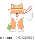 Shiba Inu and insect hunting 141383931