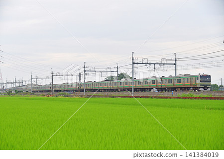 Tohoku Main Line, Higashiwashimiya-Kurihashi, JR East, E231 series 1000 series, U2 formation (Oyama) Tohoku Main Line, Higashiwashimiya-Kurihashi, JR East, E231 series 1000 series, U2 formation (Oyama) 141384019