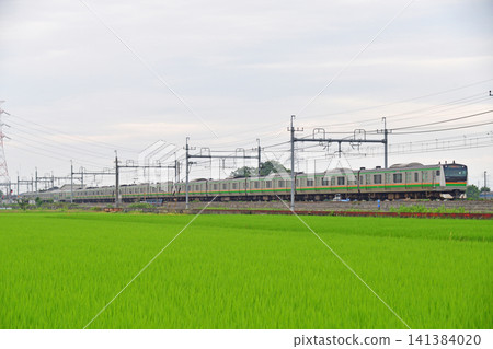 東北本線，東鷲宮 - 栗橋，JR東日本，E233系 3000系，U223組（大山） 141384020