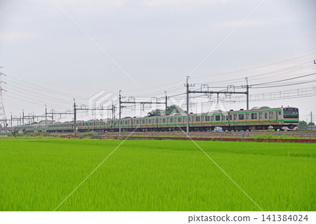 Tohoku Main Line, Higashi-Washinomiya - Kurihashi, JR East, E231 series 1000 series, U61 formation (Oyama) Tohoku Main Line, Higashi-Washinomiya - Kurihashi, JR East, E231 series 1000 series, U61 formation (Oyama) 141384024