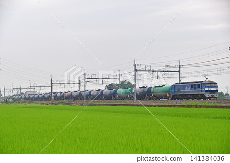 Tohoku Main Line Higashiwashinomiya-Kurihashi JR Freight EF210-112 (Freight) 141384036
